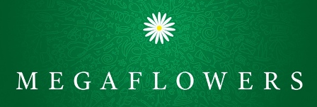 Logo Logo